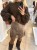 IMG_3142.jpeg